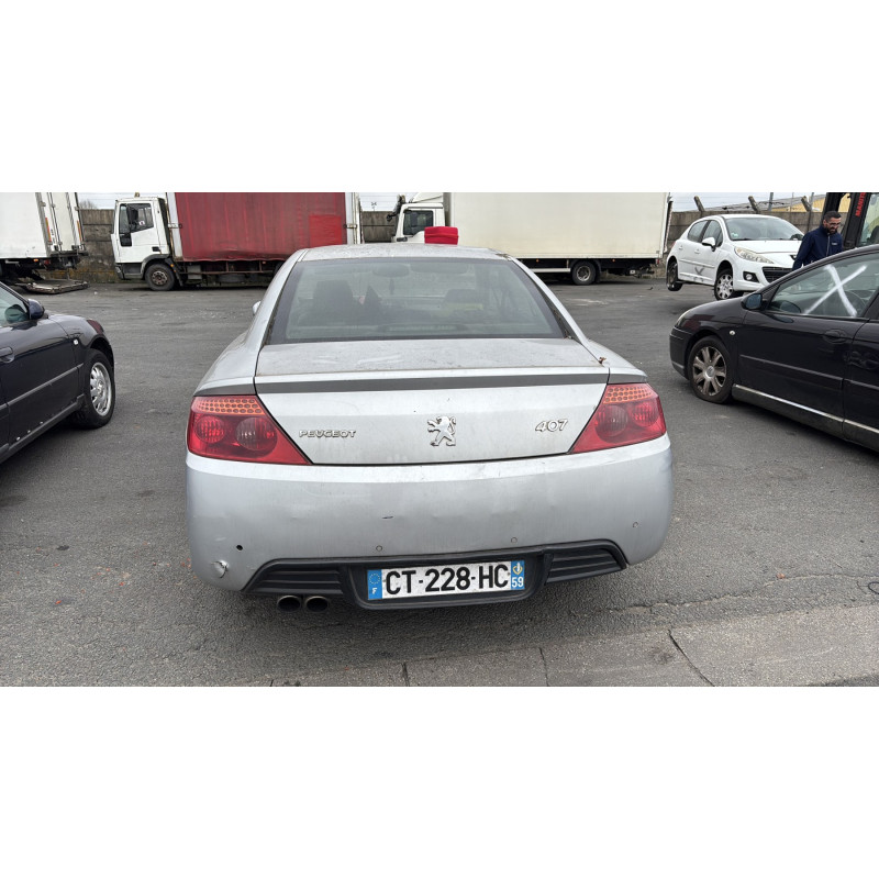 Custode arriere gauche PEUGEOT 407 Photo n°8