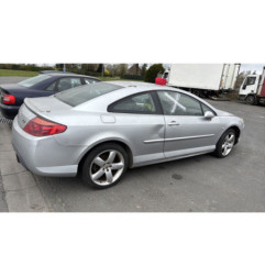 Custode arriere gauche PEUGEOT 407