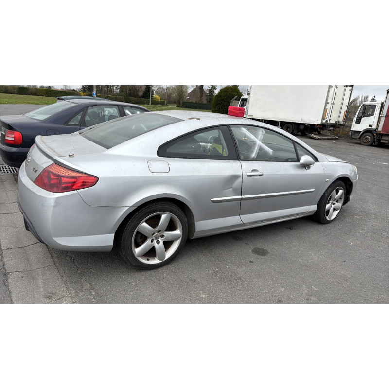 Custode arriere gauche PEUGEOT 407 Photo n°9