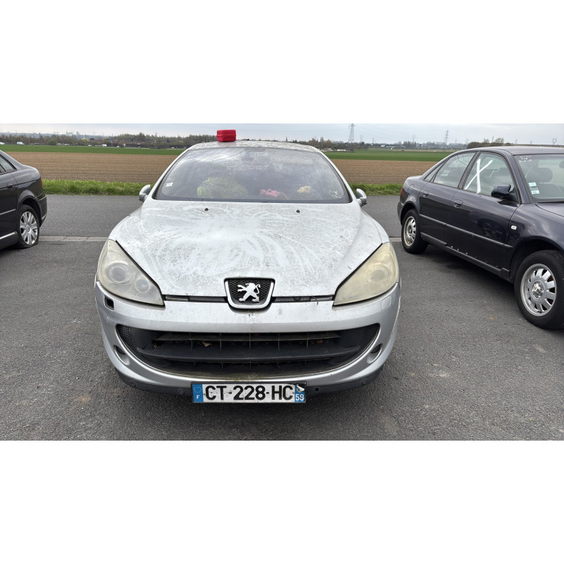 Custode arriere gauche PEUGEOT 407 Photo n°11
