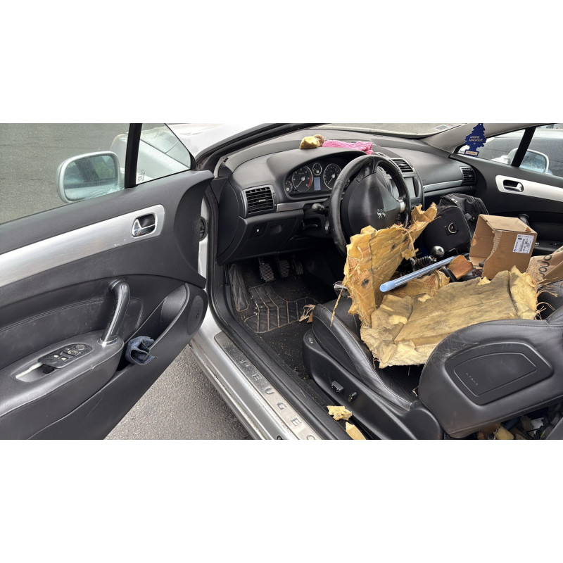 Custode arriere gauche PEUGEOT 407 Photo n°12