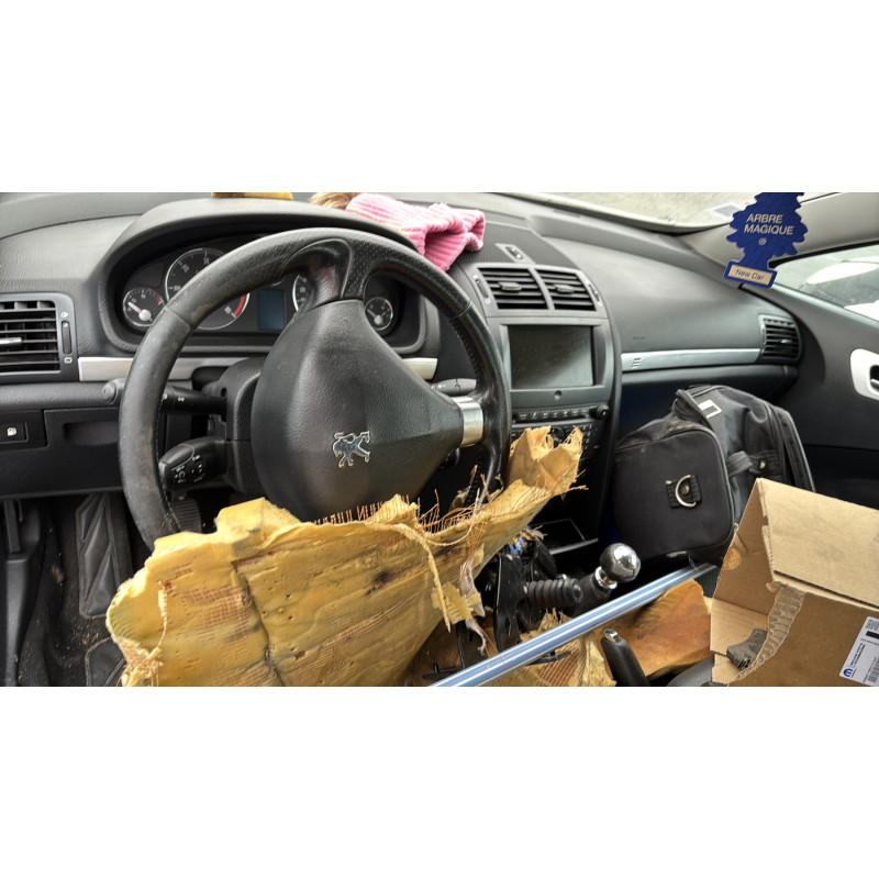Custode arriere gauche PEUGEOT 407 Photo n°14