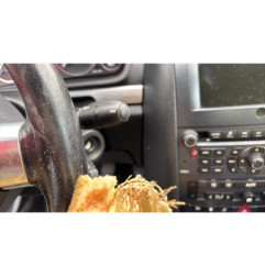 Custode arriere gauche PEUGEOT 407