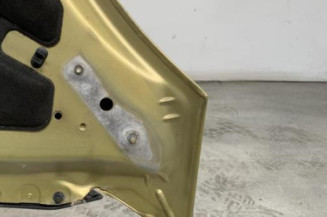Capot CITROEN C4 PICASSO 1