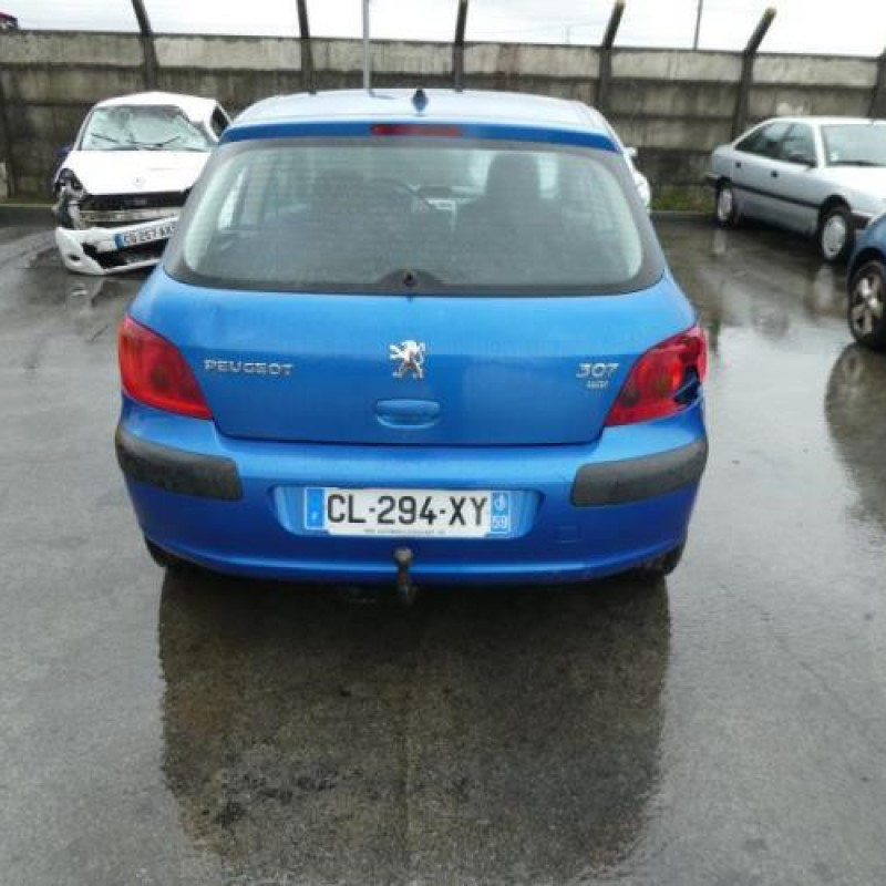 Jante PEUGEOT 307 Photo n°4