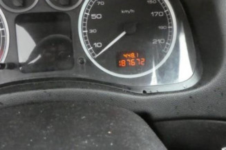Jante PEUGEOT 307