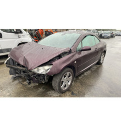 Custode avant gauche (porte) PEUGEOT 307
