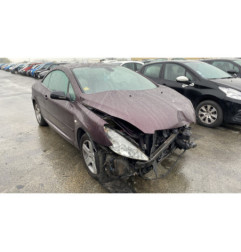 Custode avant gauche (porte) PEUGEOT 307
