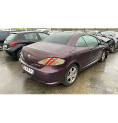 Custode avant gauche (porte) PEUGEOT 307