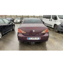 Custode avant gauche (porte) PEUGEOT 307