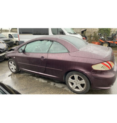 Custode avant gauche (porte) PEUGEOT 307