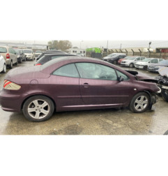 Custode avant gauche (porte) PEUGEOT 307