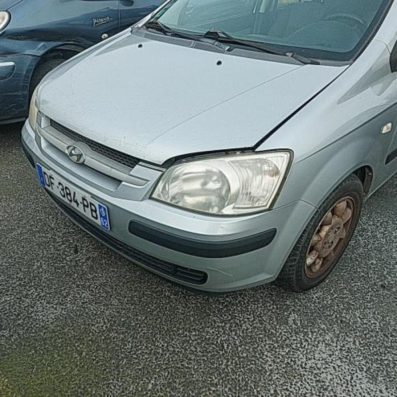Porte arriere droit HYUNDAI GETZ Photo n°6
