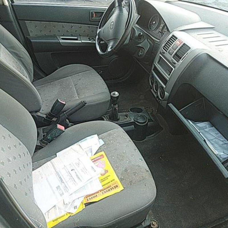 Porte arriere droit HYUNDAI GETZ Photo n°14