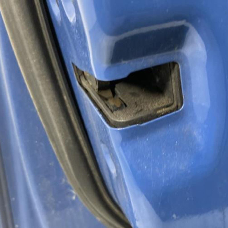 Porte avant gauche FORD FOCUS 2 Photo n°4