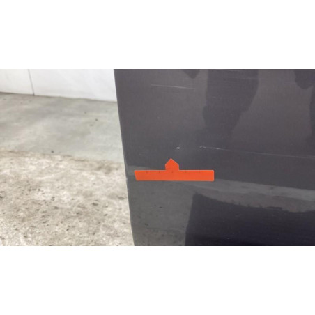 Porte avant droit RENAULT SCENIC 2 Photo n°1