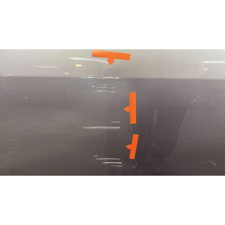 Porte avant droit RENAULT SCENIC 2
