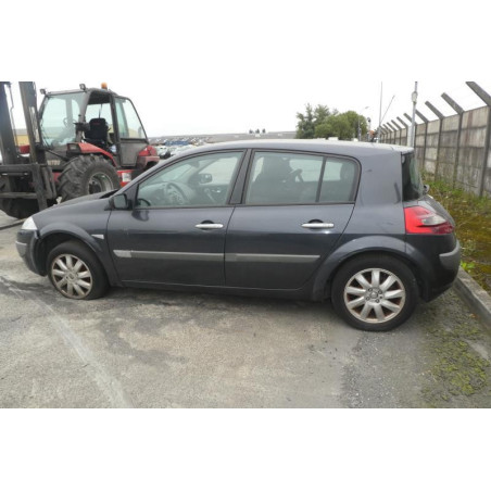 Porte avant droit RENAULT MEGANE 2 Photo n°1