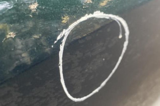Porte arriere droit RENAULT LAGUNA 3