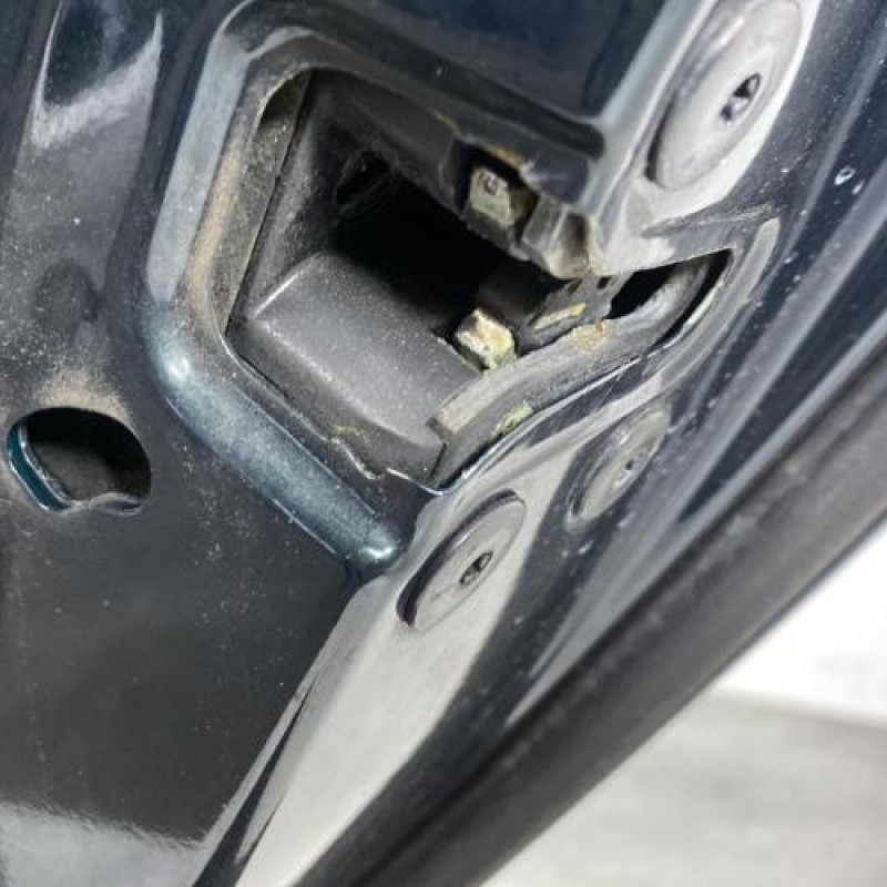 Porte arriere droit RENAULT LAGUNA 3 Photo n°7