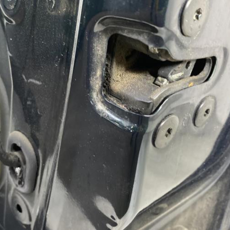 Porte avant droit RENAULT LAGUNA 3 Photo n°5