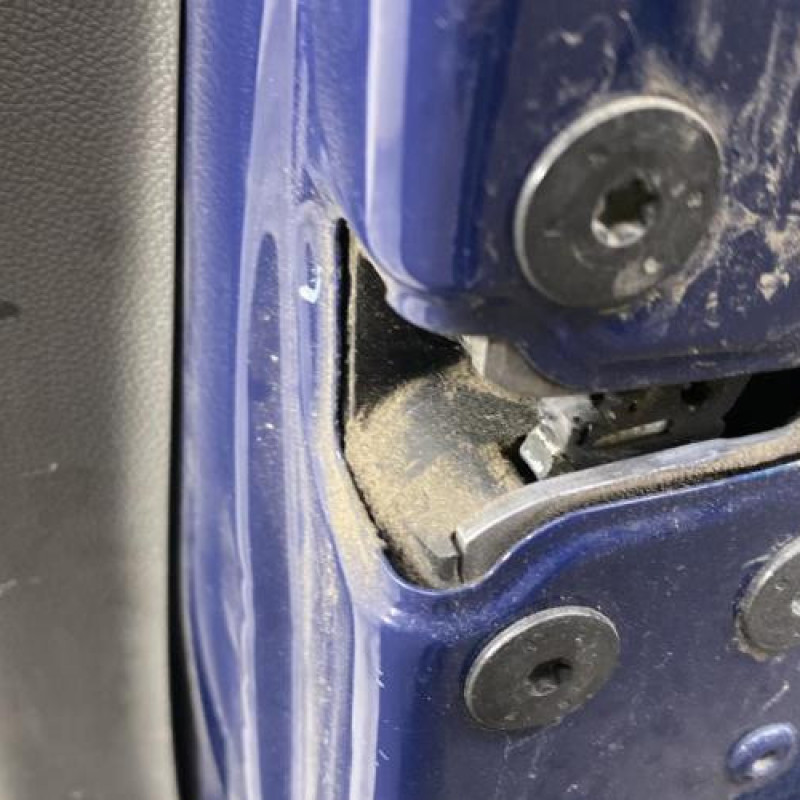 Porte avant droit RENAULT MEGANE 3 Photo n°3