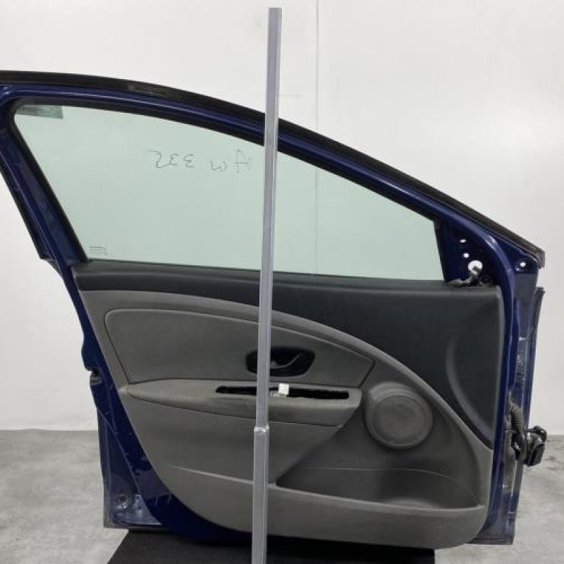 Porte avant gauche RENAULT MEGANE 3 Photo n°4