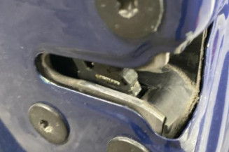 Porte avant gauche RENAULT MEGANE 3