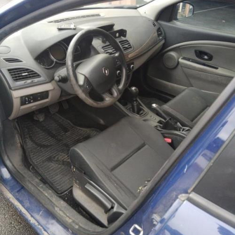 Porte avant gauche RENAULT MEGANE 3 Photo n°11