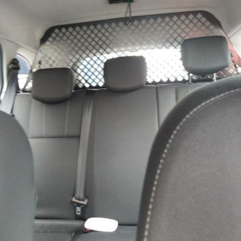 Porte avant gauche RENAULT MEGANE 3 Photo n°12