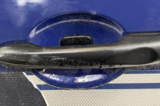 Porte avant gauche RENAULT MEGANE 3