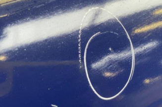 Porte avant gauche RENAULT MEGANE 3