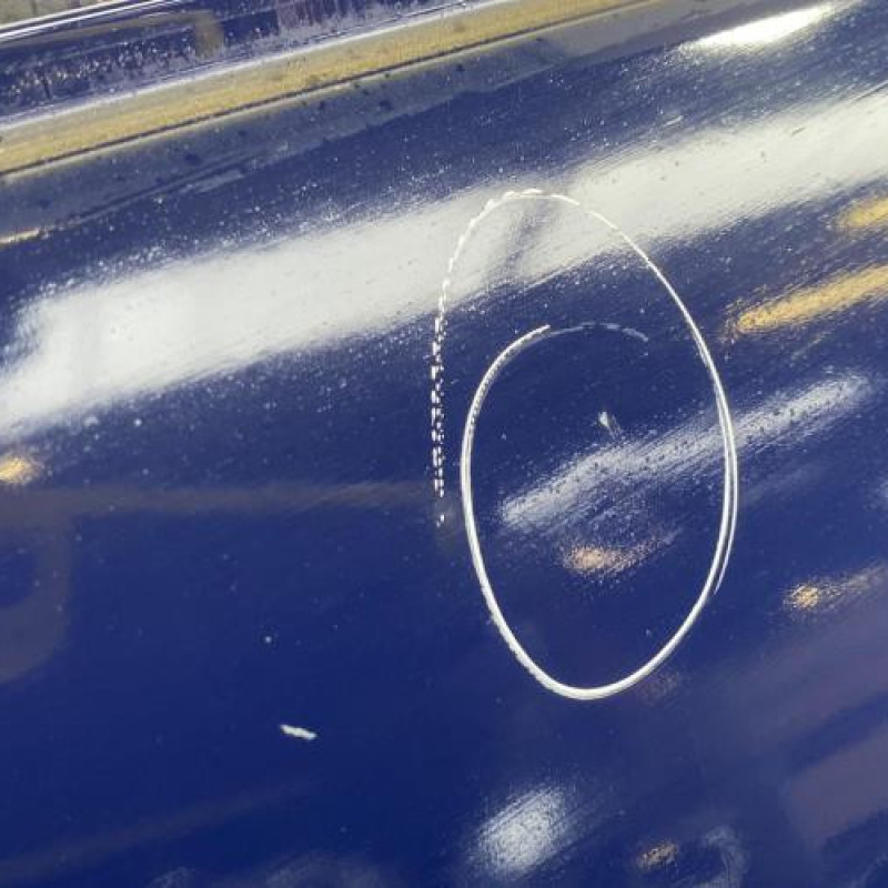 Porte avant gauche RENAULT MEGANE 3 Photo n°3