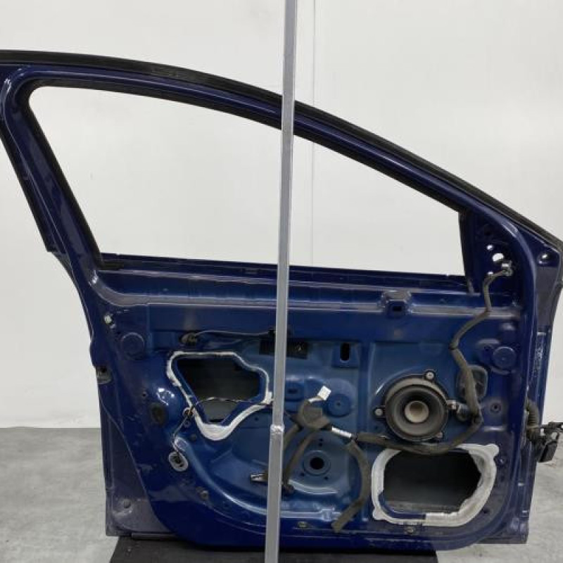 Porte avant gauche RENAULT MEGANE 3 Photo n°5
