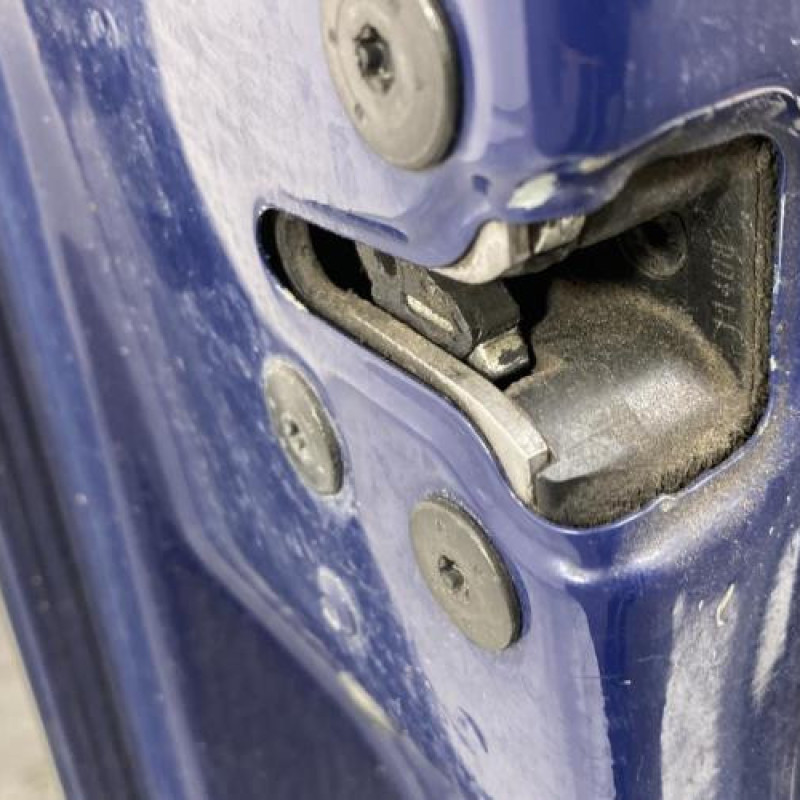 Porte avant gauche RENAULT MEGANE 3 Photo n°6