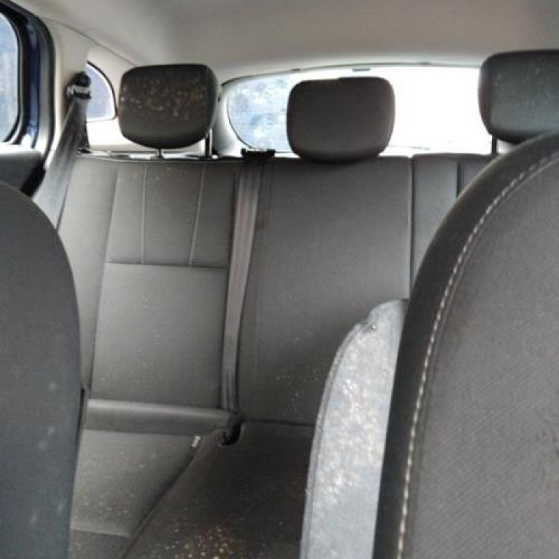 Porte avant gauche RENAULT MEGANE 3 Photo n°13