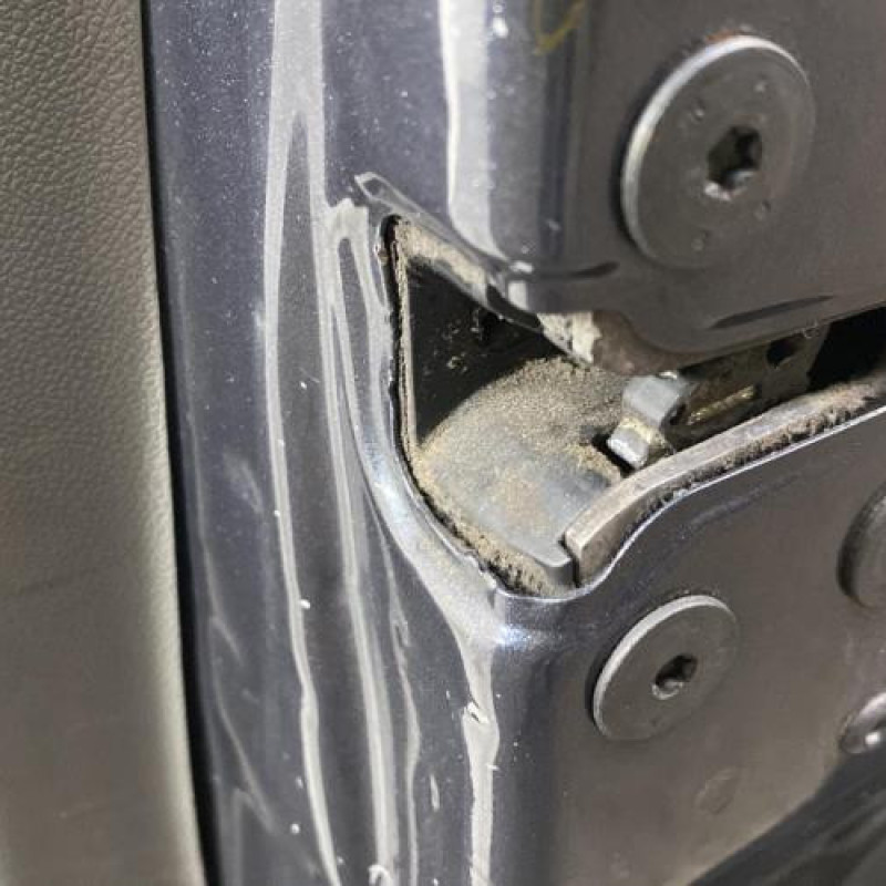 Porte avant droit RENAULT MEGANE 3 Photo n°3