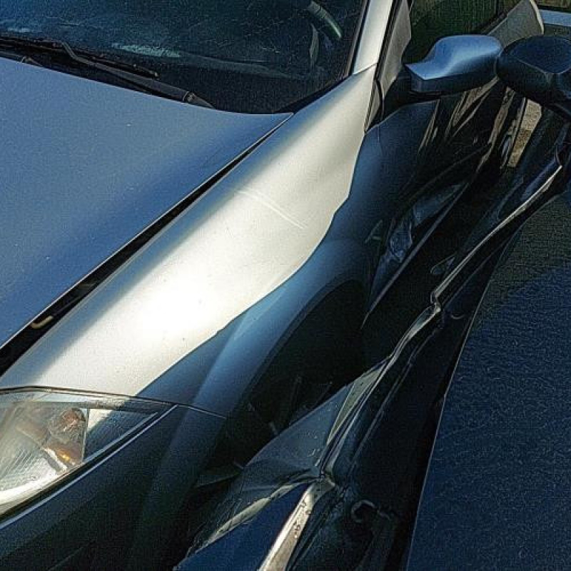 Feu arriere principal gauche (feux) RENAULT MEGANE 2 Photo n°8