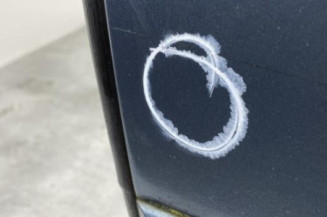 Porte arriere gauche CITROEN C5 1