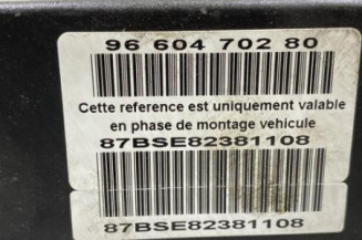 Bloc ABS (freins anti-blocage) PEUGEOT 607