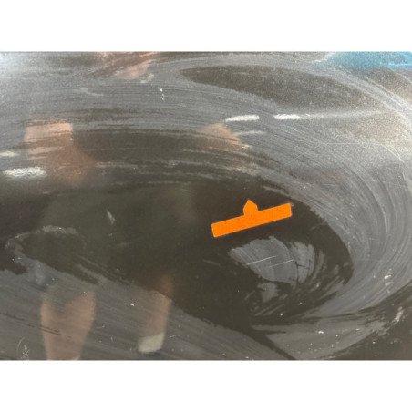 Porte arriere droit RENAULT SCENIC 2