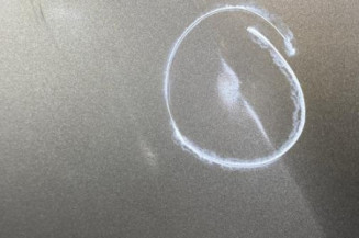 Porte arriere gauche RENAULT CLIO 3