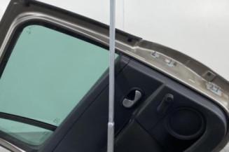Porte arriere gauche RENAULT CLIO 3