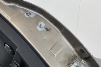 Porte arriere gauche RENAULT CLIO 3