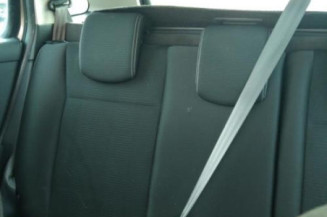 Porte arriere gauche RENAULT CLIO 3