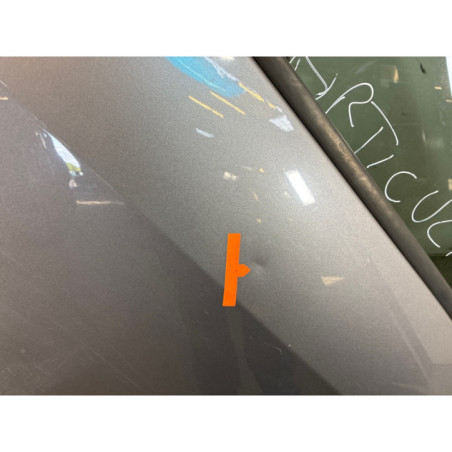 Porte arriere gauche RENAULT GRAND MODUS