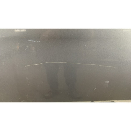 Porte avant gauche BMW SERIE 5 E61