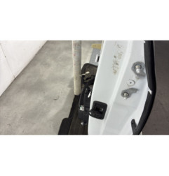 Porte arriere gauche RENAULT MEGANE 4