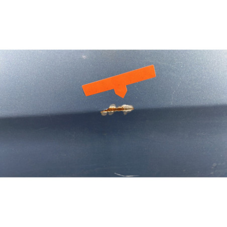 Porte avant gauche MERCEDES CLASSE R 251