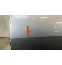 Porte arriere gauche DACIA LOGAN 1